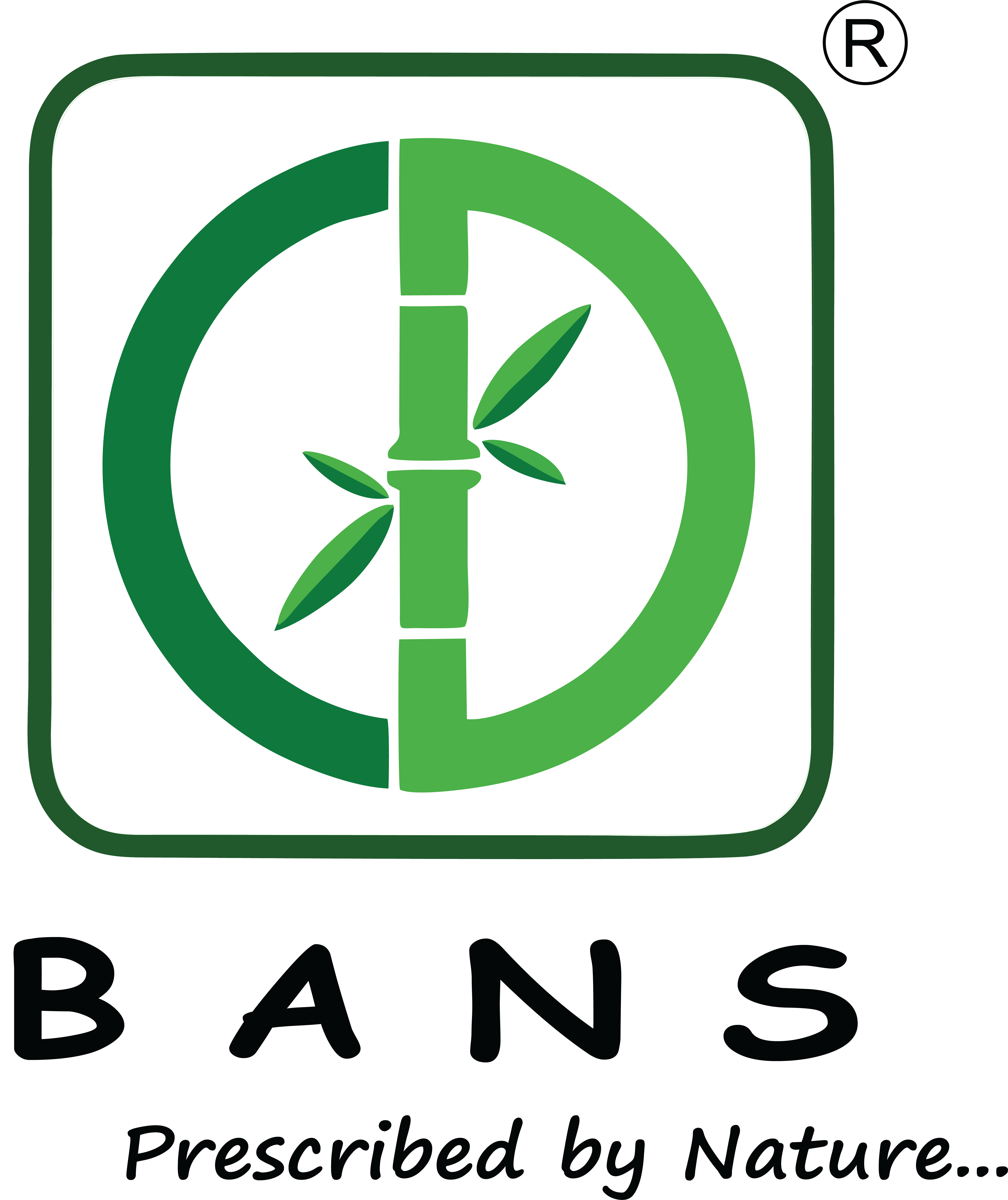 BAANS INFRA